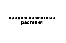 продам комнатные растения